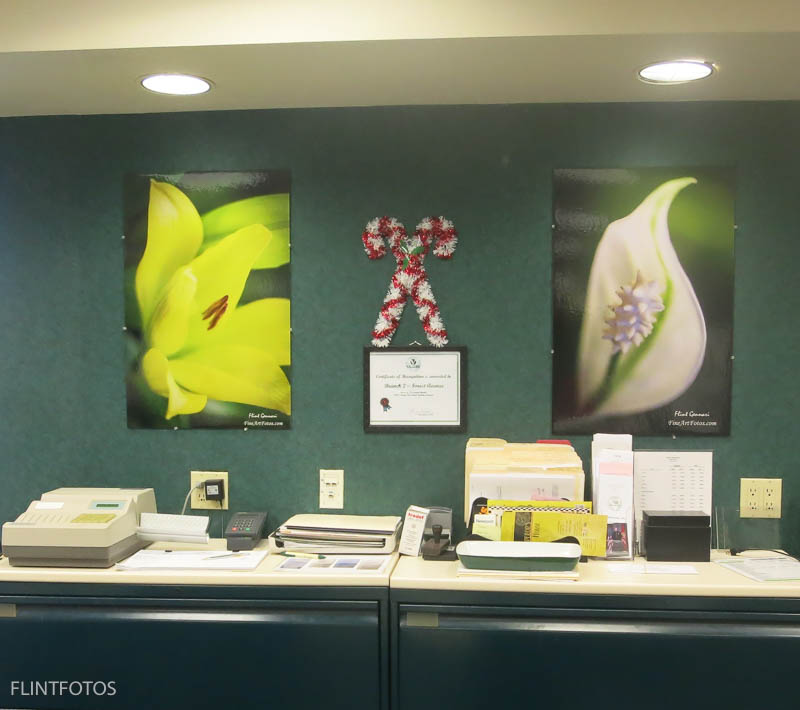Office Decor