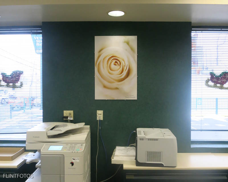 Office Decor